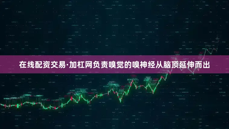 在线配资交易·加杠网负责嗅觉的嗅神经从脑顶延伸而出