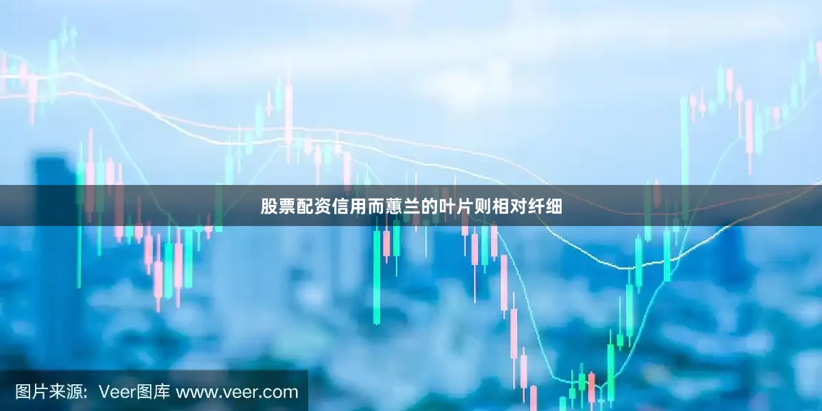 股票配资信用而蕙兰的叶片则相对纤细