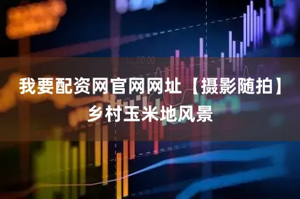 我要配资网官网网址【摄影随拍】乡村玉米地风景