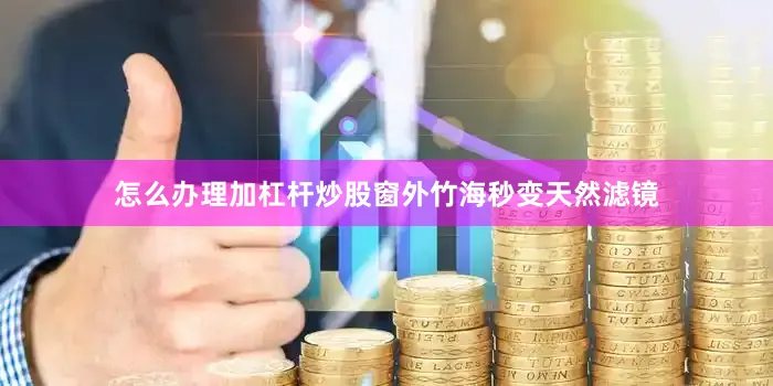 怎么办理加杠杆炒股窗外竹海秒变天然滤镜